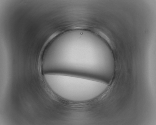 X0000113891179200909241136