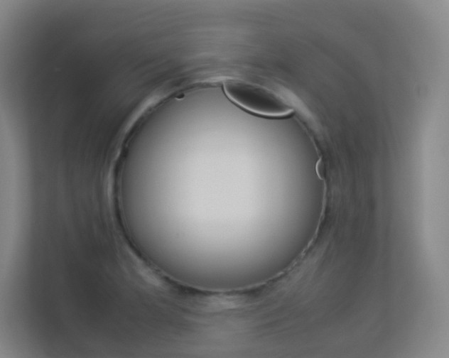 X0000113891181200909241136