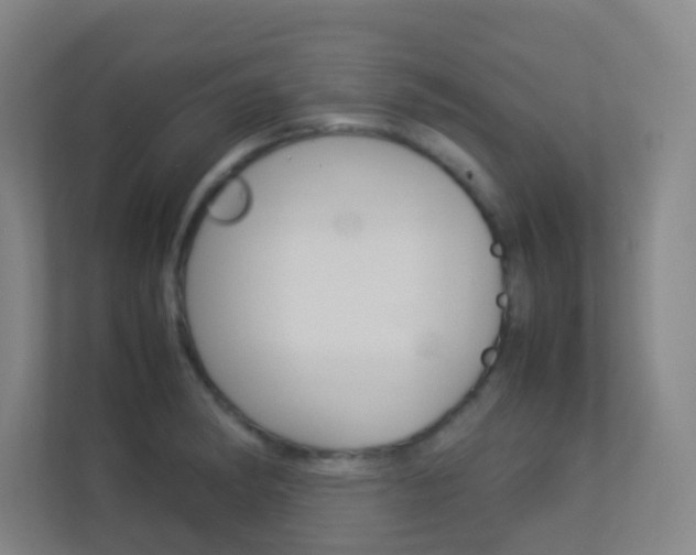 X0000113891182200909241136