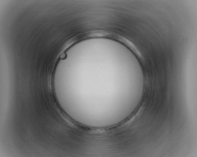X0000113891186200909241136