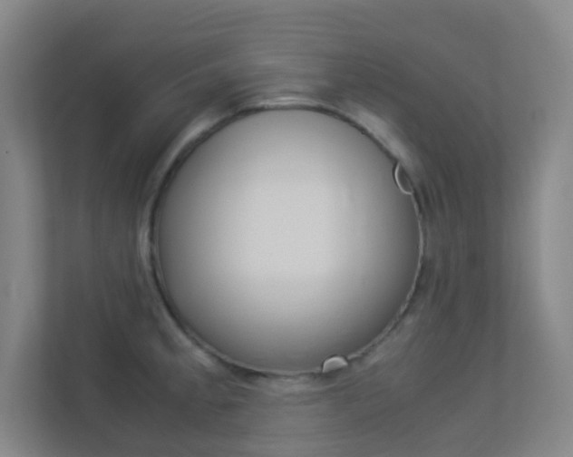 X0000113891189200909241136