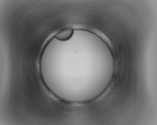 X0000113891190200909241136