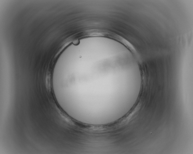 X0000113891194200909241136
