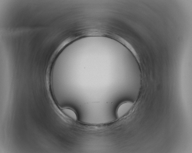 X0000113891195200909241136
