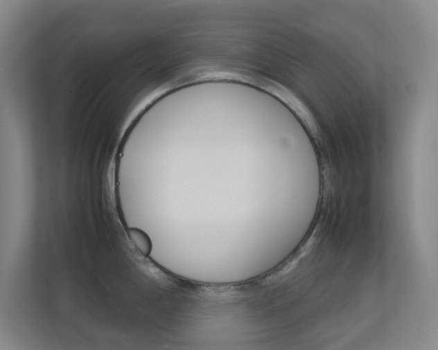X0000113891198200909241136