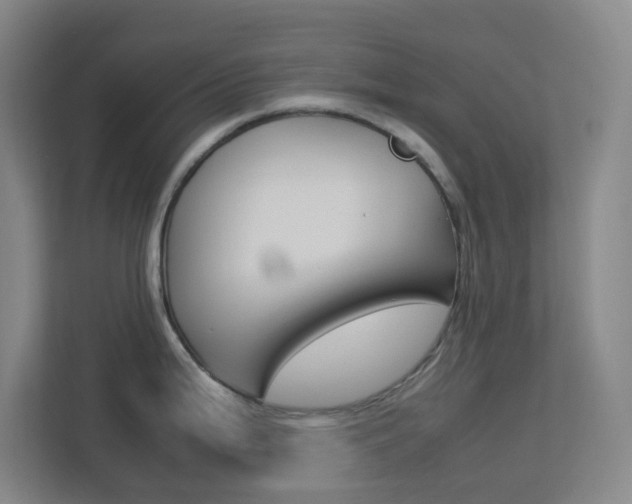 X0000113891199200909241135