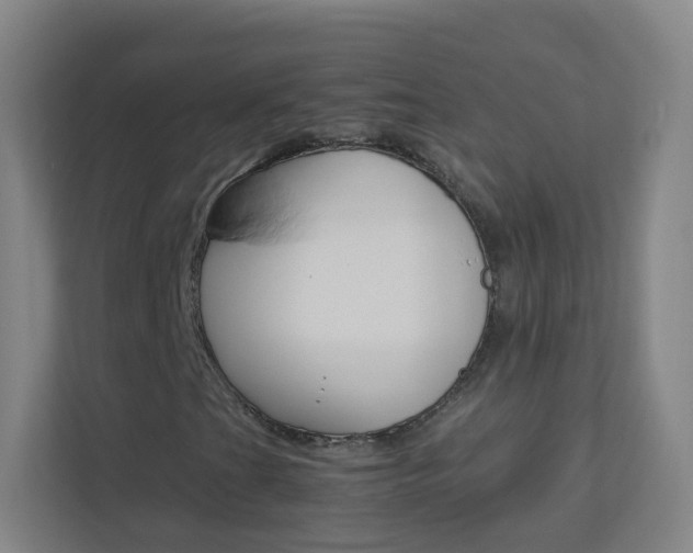 X0000113891201200909241135