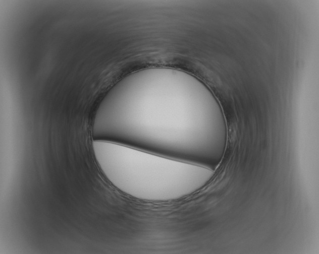 X0000113891202200909241135
