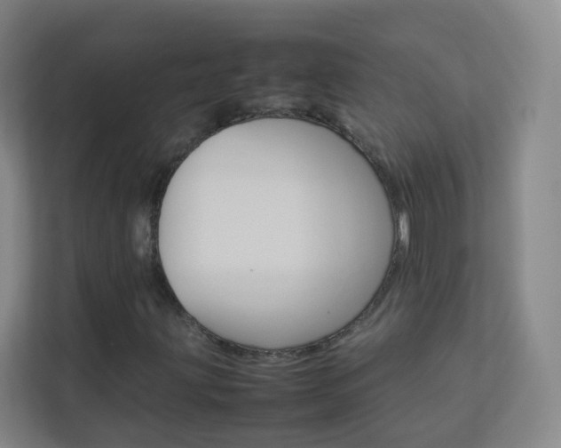 X0000113891203200909241135