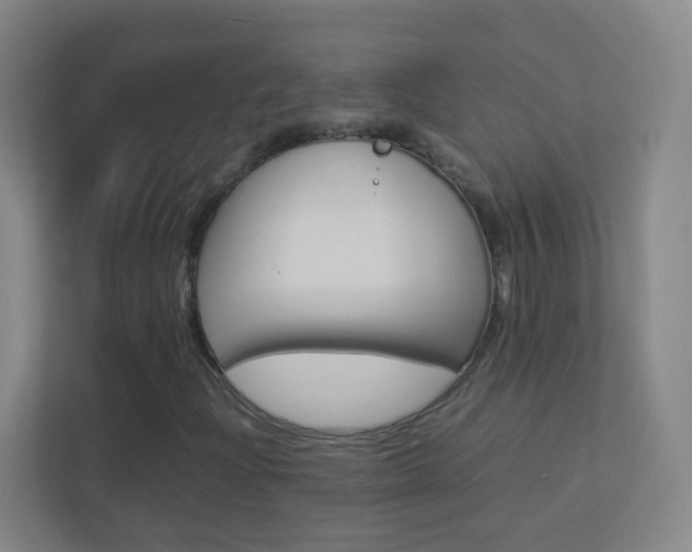X0000113891204200909241135