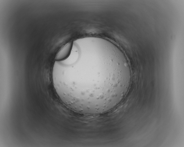 X0000113891205200909241135