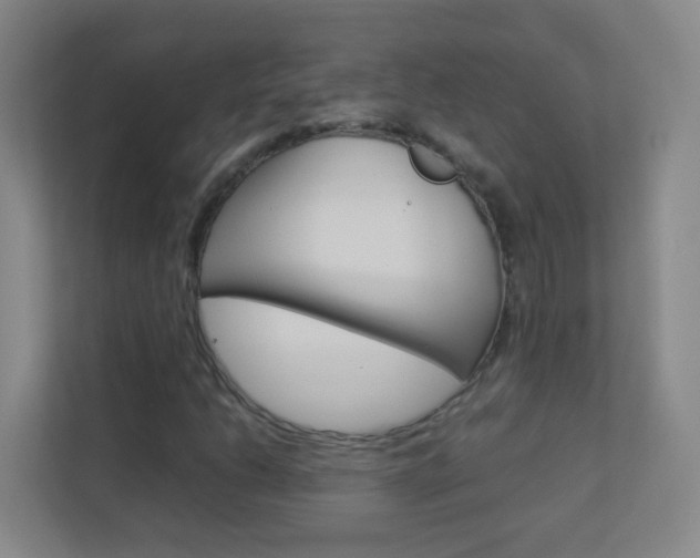 X0000113891206200909241135