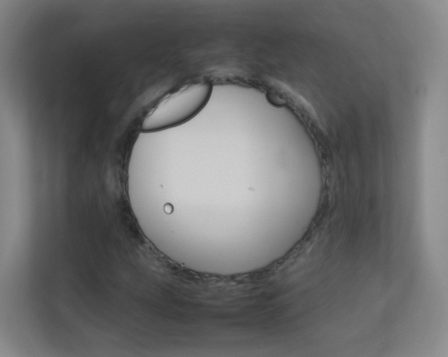 X0000113891207200909241135