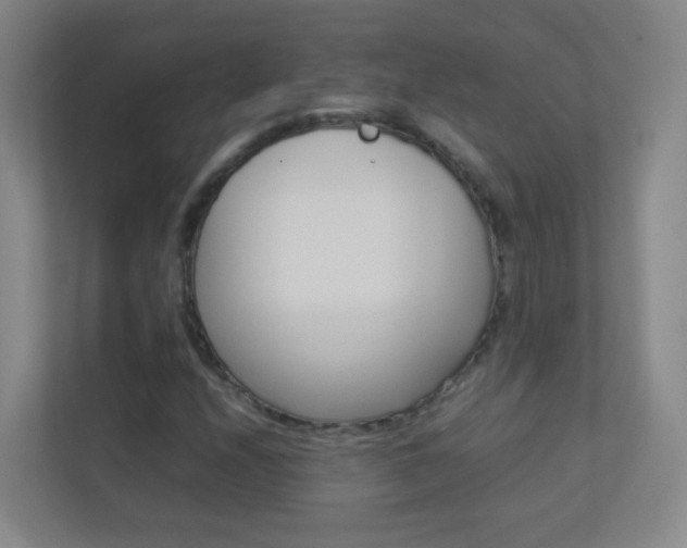 X0000113891208200909241135