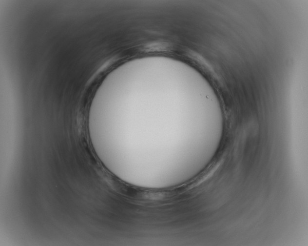 X0000113891211200909241135