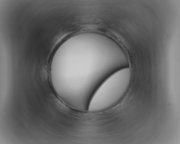 X0000113891212200909241135
