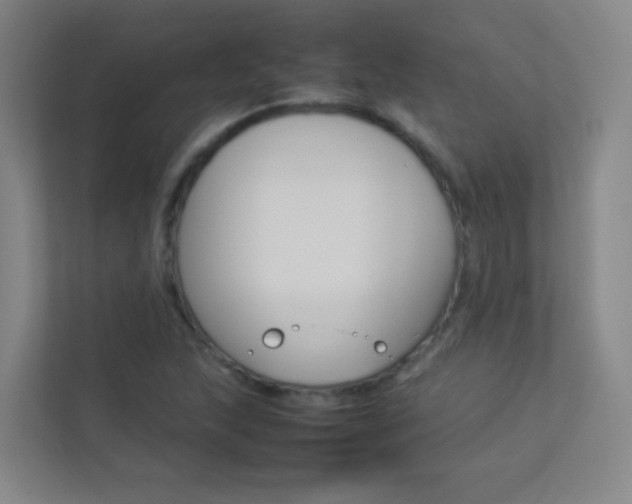 X0000113891215200909241135