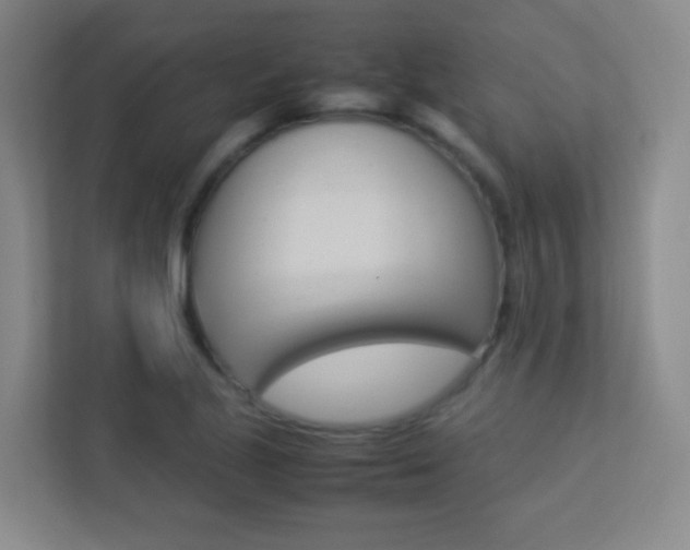 X0000113891221200909241135