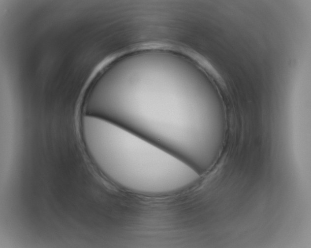 X0000113891230200909241135