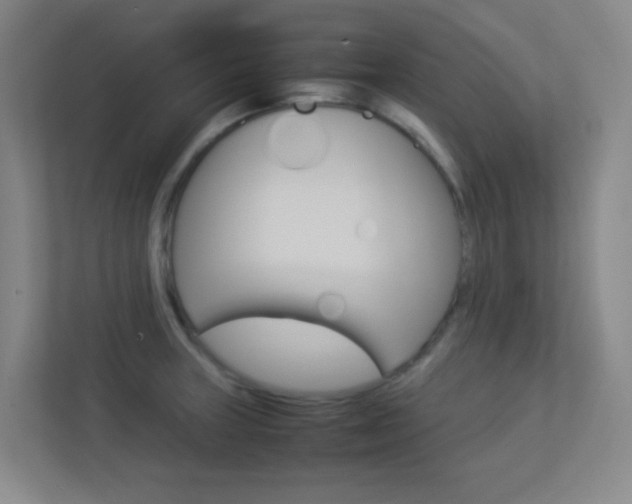 X0000113891235200909241135