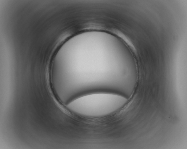 X0000113891237200909241135