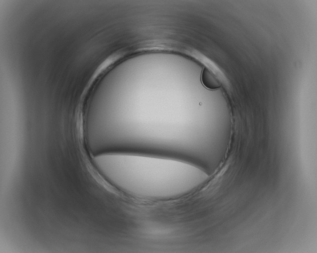 X0000113891238200909241135