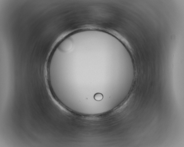 X0000113891239200909241135