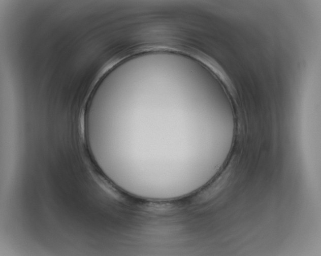 X0000113891242200909241135
