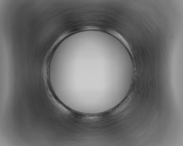 X0000113891243200909241135