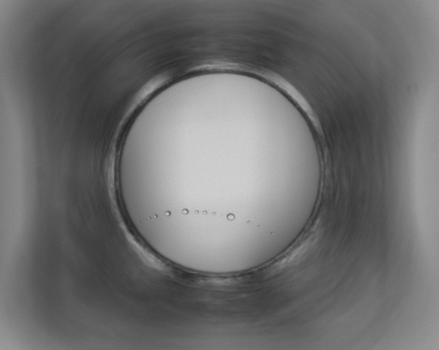 X0000113891245200909241135