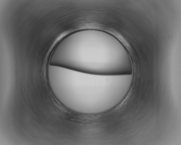 X0000113891246200909241135