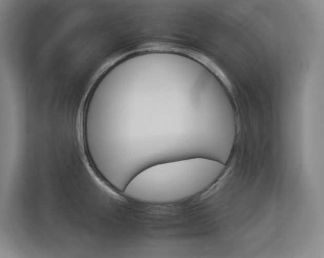 X0000113891247200909241135