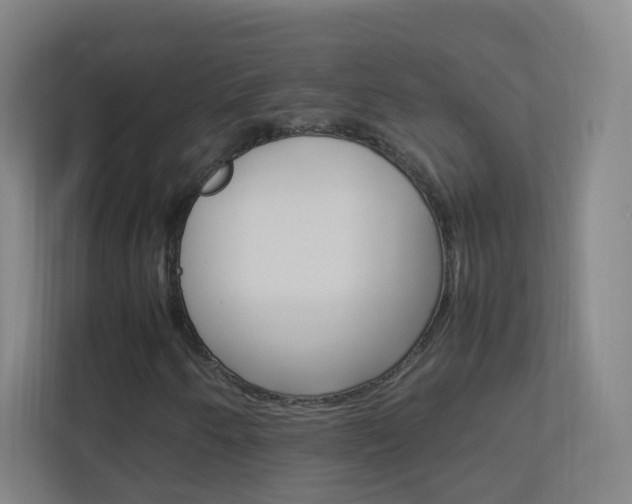 X0000113891250200909241135