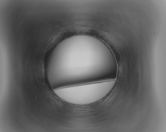 X0000113891252200909241135