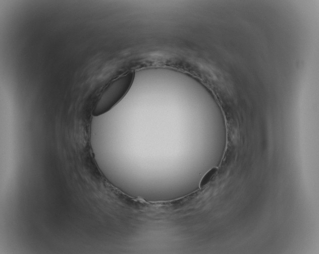 X0000113891253200909241135