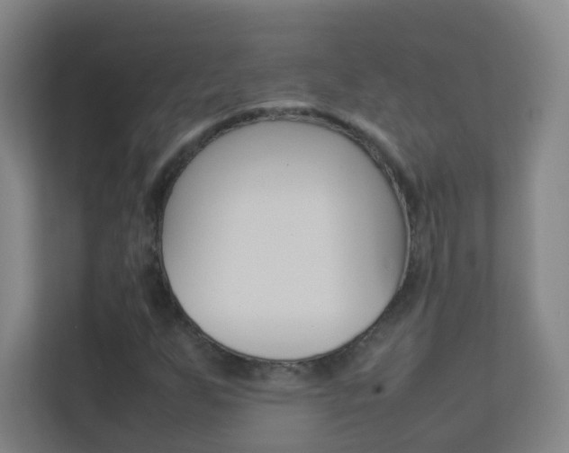 X0000113891255200909241135