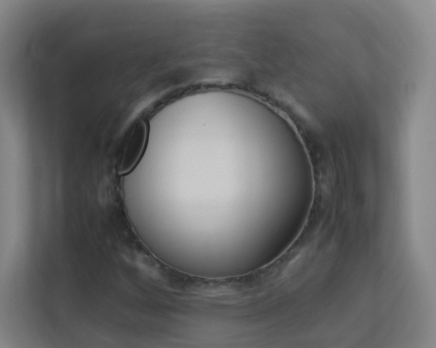 X0000113891256200909241135