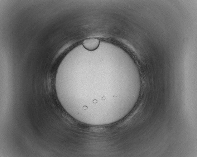 X0000113891258200909241135