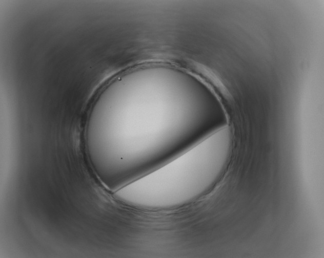 X0000113891260200909241135