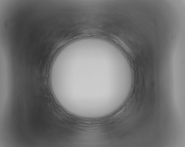 X0000113891261200909241135