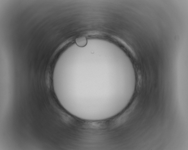 X0000113891266200909241135