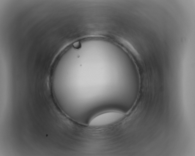 X0000113891268200909241135