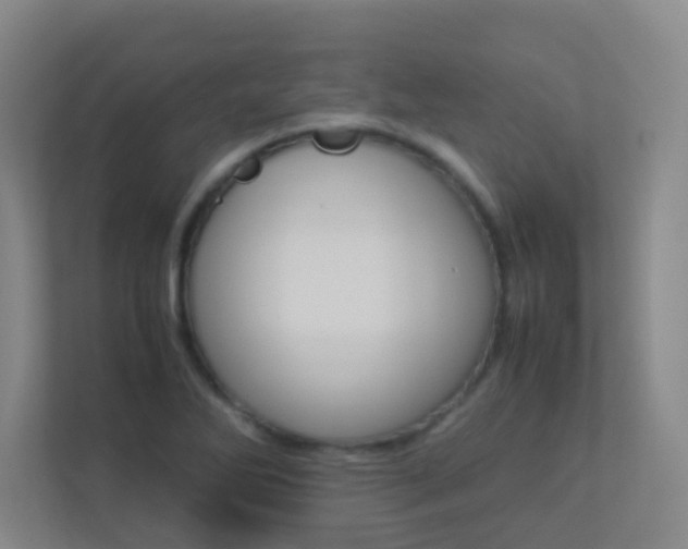 X0000113891270200909241135