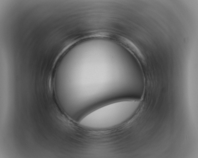 X0000113891276200909241134