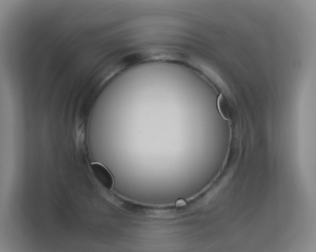 X0000113891281200909241134