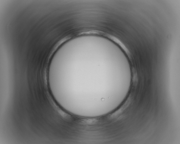 X0000113891282200909241134