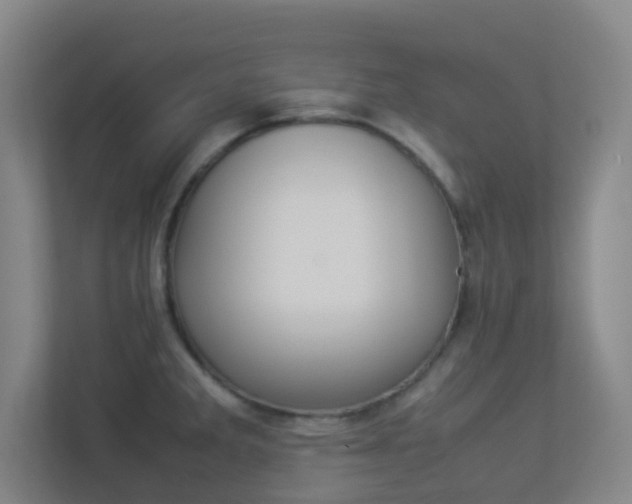 X0000113891285200909241134