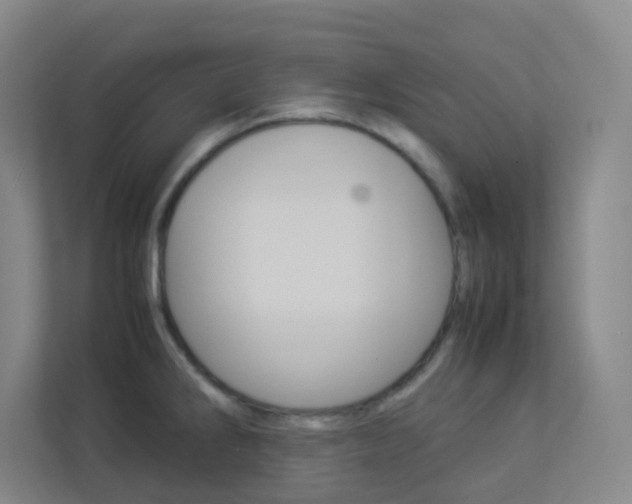 X0000113891286200909241134