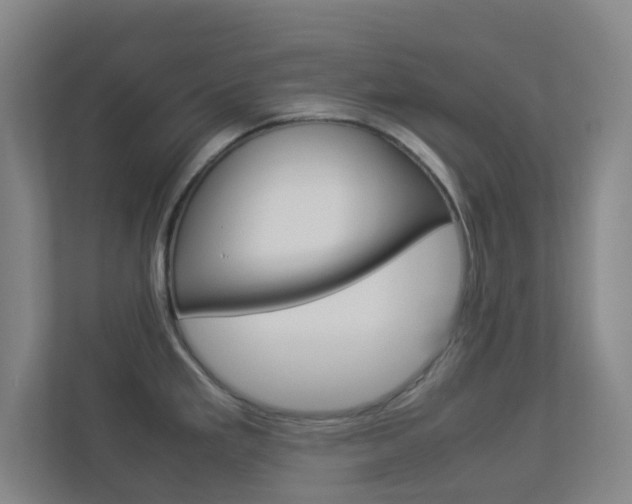 X0000113891293200909241134