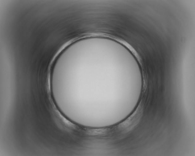 X0000113891294200909241134